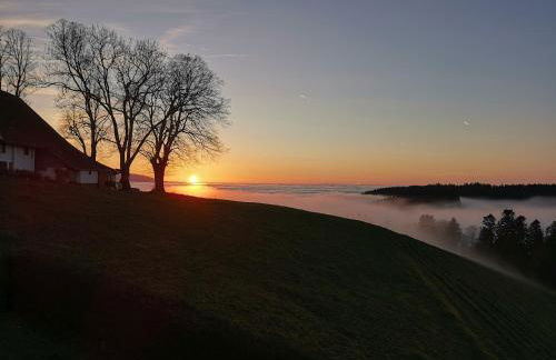 Haus Julia - Foto 16