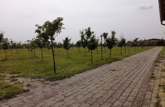 Salas Farma 47 - Photo 22