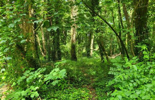 Bumbeldink - Foto 12