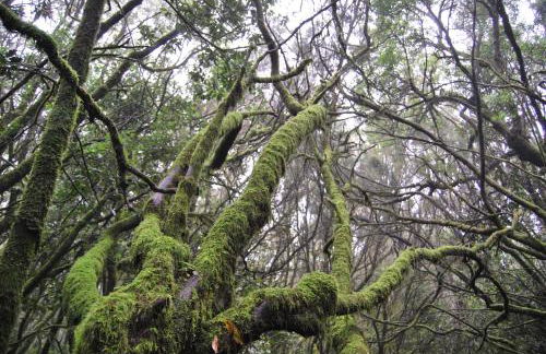 LOS FRAILES I - Foto 48