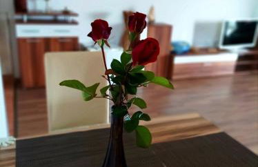 Holiday Home Kaic - Foto 33