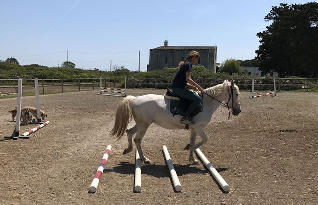 Masseria Prosperi - Photo 48