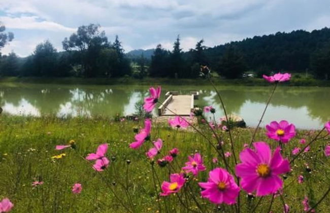 Cabañas Sierra del Tecuan - Foto 15