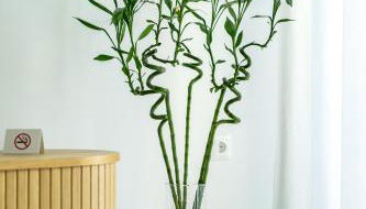 Andria's Apartment - Foto 3