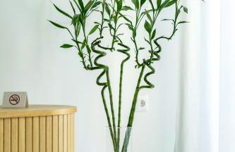 Andria's Apartment - Foto 3