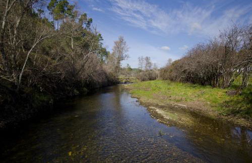 Xisto Sentido - Foto 33