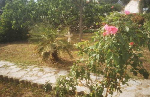 Charmante maison de vacances avec piscine - Foto 28