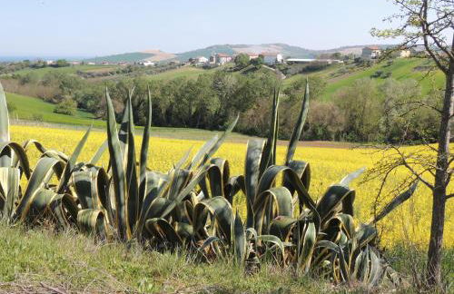Casa Sabbatini - Foto 44