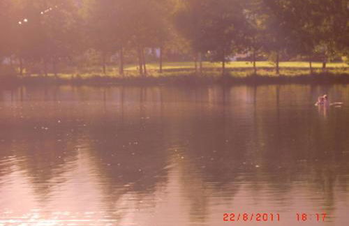 Les Gites de l étang :Studio à 20 mn de Gerardmer - Foto 36