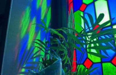 La suite de la pépinière - Foto 7