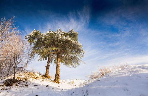 The Organic Cotswolds Cowshed - Photo 63