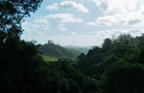 Chalé Seiva da Terra - Foto 5