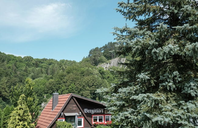 Quaint Holiday Home in Elbingerode near Forest - Foto 28