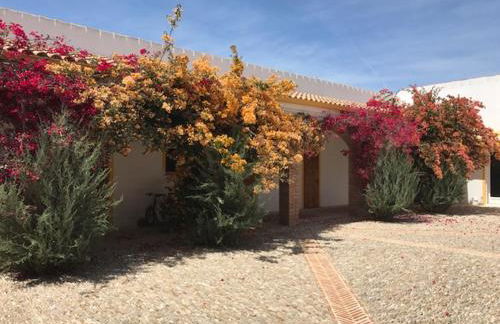 finca las gateras - Foto 21