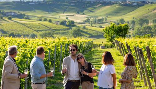 Luxe Villa, All Ensuites & Private Vineyard Views - Foto 3