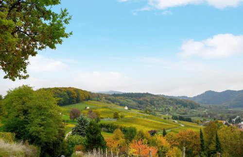 Ferienhaus Zur Alten Dame - Foto 35