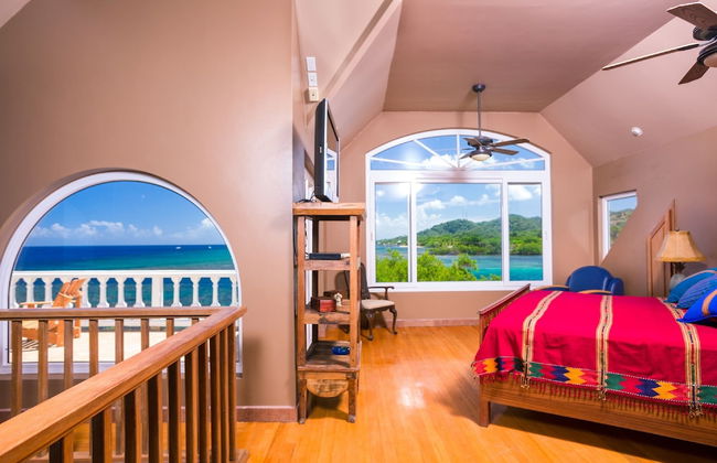 Yellow Bird - Foto 2