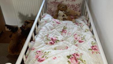 Apartment Cats Forest - Foto 4