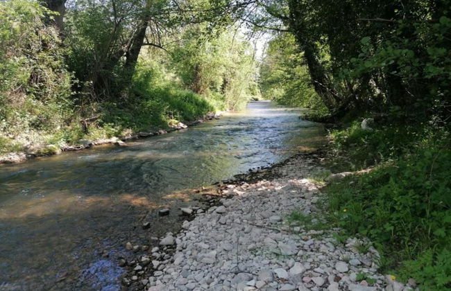 Spacious Countryside Escape - Foto 29