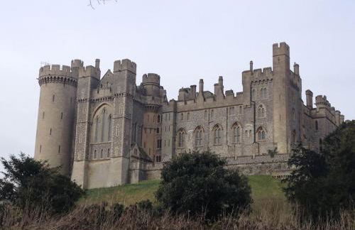 The Hen House - Photo 34