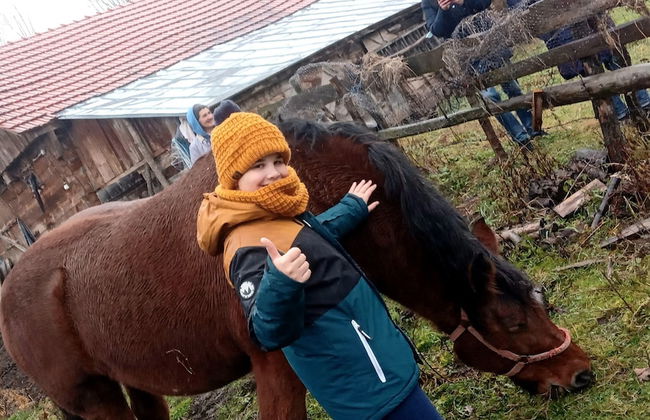 Room in Guest Room - Idylic Family Sejour With Hottube in Green Land - Photo 56