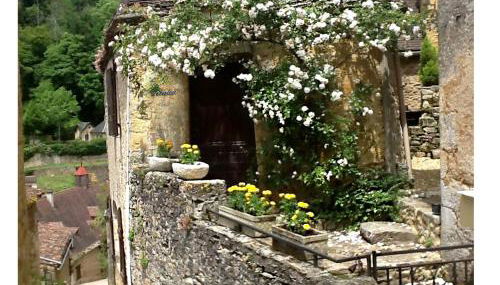 Le Tibalou de Beynac, vue magique sur la rivière - Foto 1