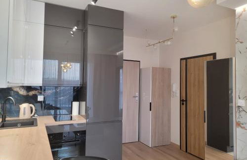 Apartament Centrum Pestige Mińsk - Foto 7