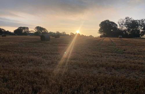 Whiskers and Woods Shepherd Hut - Foto 26