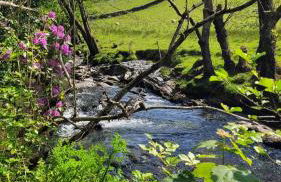 The Granary Corris on the edge of the Dyfi Forest - Photo 28