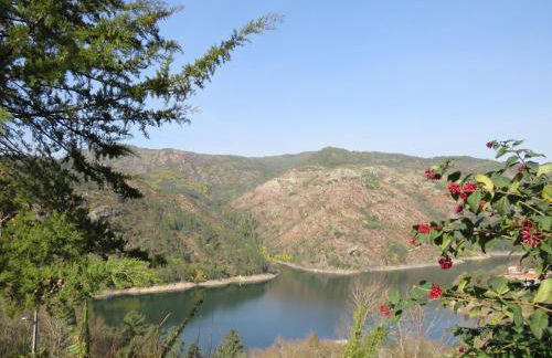 Casa das Camélias - Foto 12