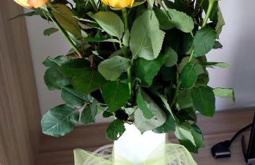 Villette Susanna - Foto 6