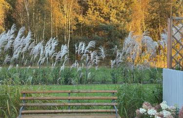 Międzyleś 68 - Foto 16