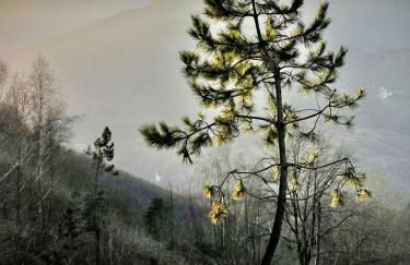 Piccolo Paradiso - Foto 8