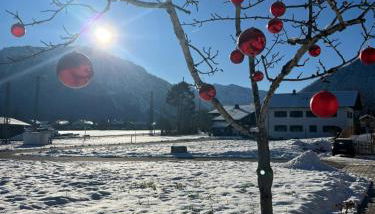 Servus in der Wiesenstrasse inklusive Chiemgaukarte - Foto 4