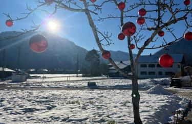 Servus in der Wiesenstrasse inklusive Chiemgaukarte - Foto 4