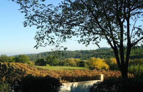 STUDIO TERRASSE PISCINE UZES PONT DU GARD - Foto 21