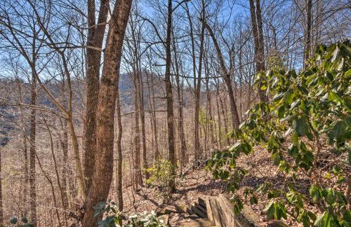 Luxury Mountain Cabin - Panoramic Mountain Views - Foto 36