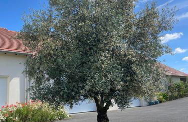 GITE MONTGOLFIÈRE 4 PERSONNES - Foto 27