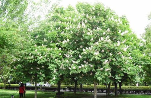 Apartamento Alhondiga Hervás - Foto 41