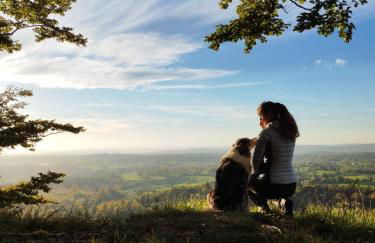 Gîte de la Diligence - Foto 17