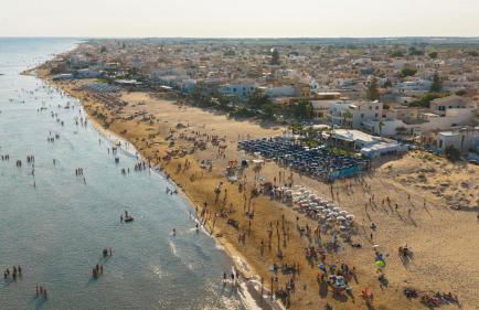 White House - Foto 1