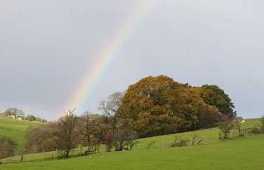 Lower Turnerford Farmhouse - Foto 25