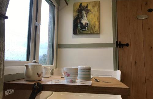 Willowbank shepherds hut - Foto 31