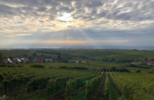 Ferienhaus Lindenallee 20 - Foto 17