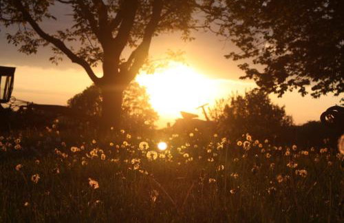 Forsthof Niendorf - Foto 36