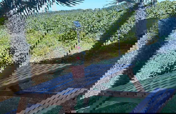 Cakil Apart - Photo 43