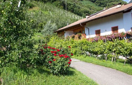 Apartment Ida - Obermösslhof - Photo 20