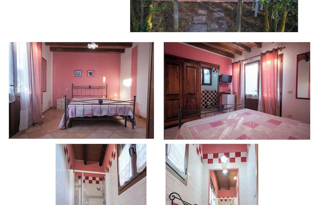 Agriturismo Niccoland - Foto 3