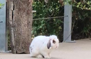 Azienda Agrituristica La Janna di la Faj - Foto 10