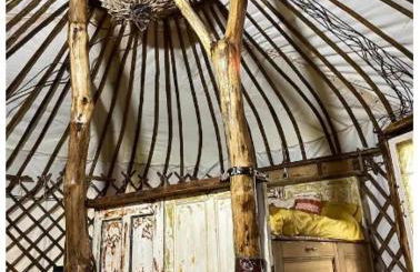 Little Lodge Glamping - Foto 88